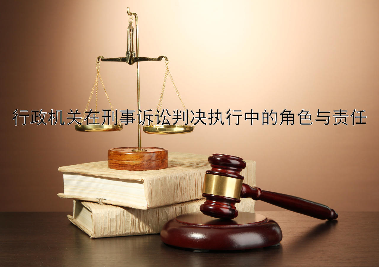 行政机关在刑事诉讼判决执行中的角色与责任