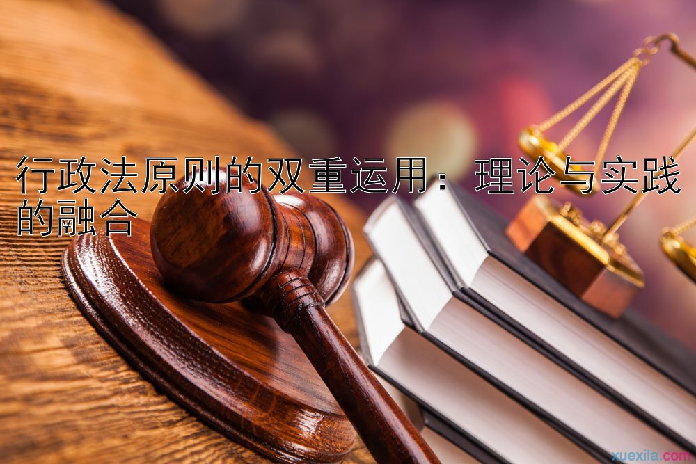 行政法原则的双重运用：理论与实践的融合