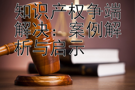 知识产权争端解决：案例解析与启示