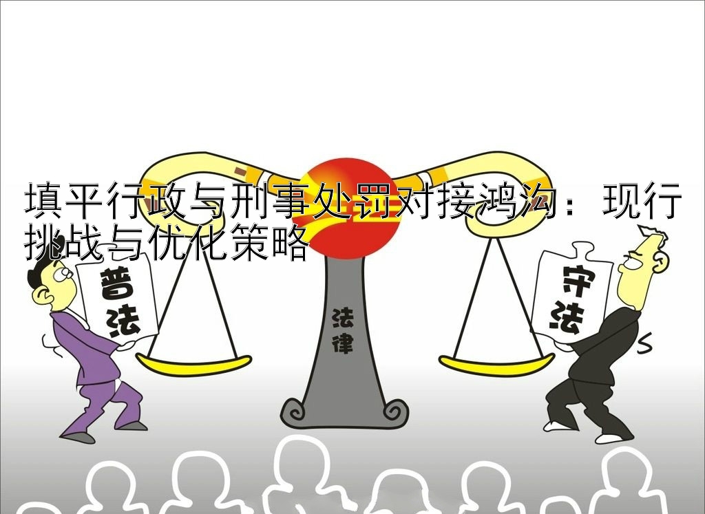 填平行政与刑事处罚对接鸿沟：现行挑战与优化策略