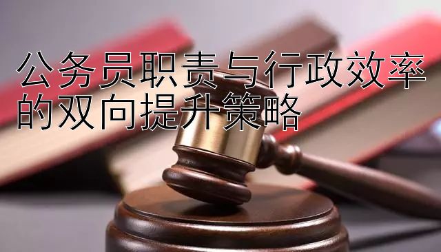 公务员职责与行政效率的双向提升策略