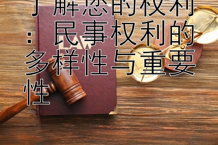 了解您的权利：民事权利的多样性与重要性