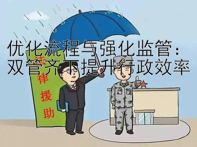 优化流程与强化监管：双管齐下提升行政效率