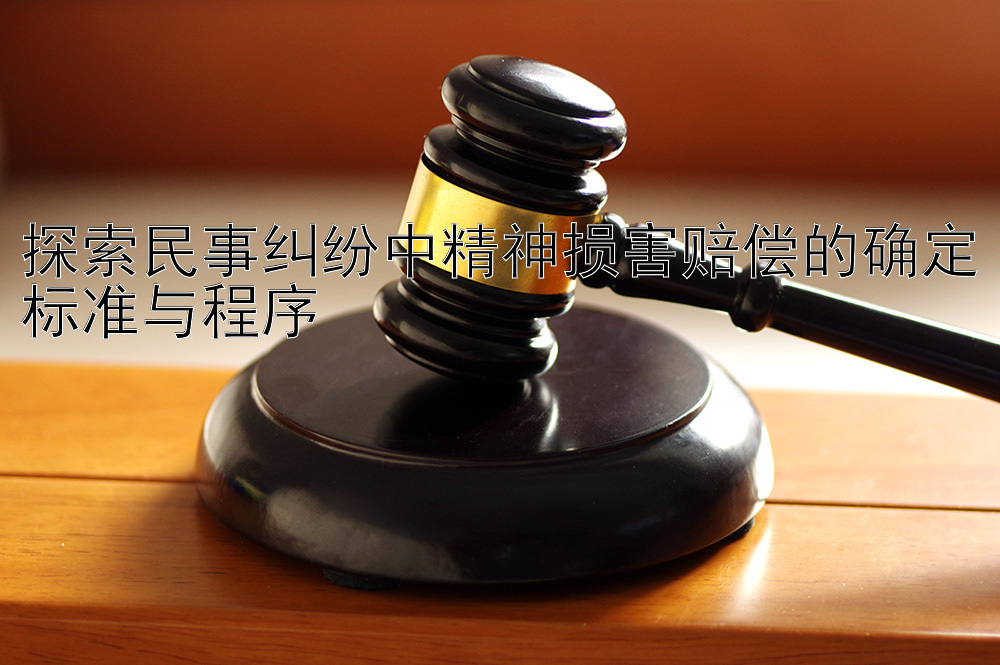 探索民事纠纷中精神损害赔偿的确定标准与程序