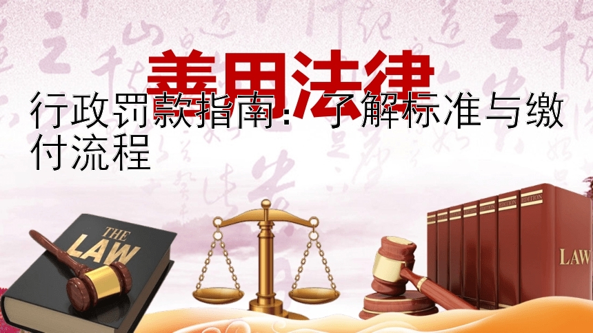 行政罚款指南：了解标准与缴付流程