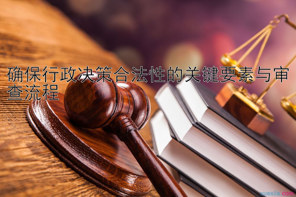 确保行政决策合法性的关键要素与审查流程