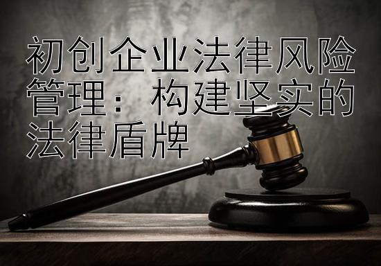 初创企业法律风险管理：构建坚实的法律盾牌