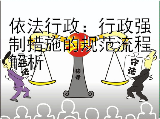 依法行政：行政强制措施的规范流程解析