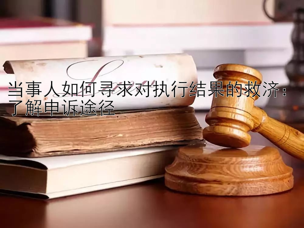 当事人如何寻求对执行结果的救济：了解申诉途径