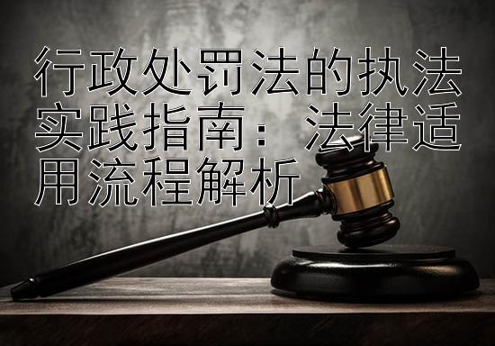 行政处罚法的执法实践指南：法律适用流程解析