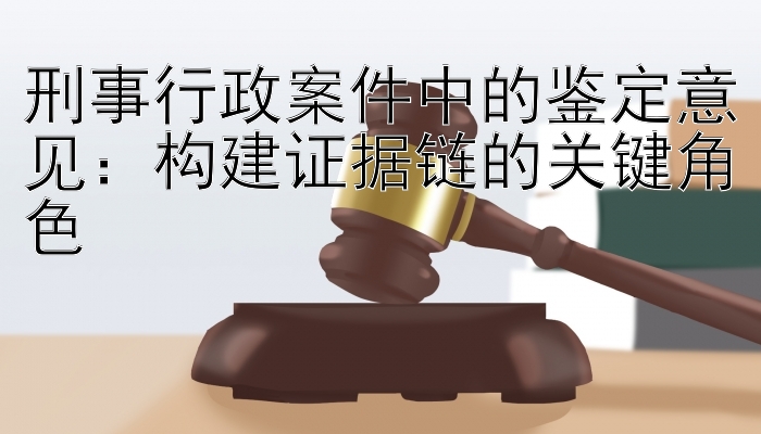 刑事行政案件中的鉴定意见：构建证据链的关键角色