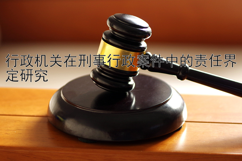 行政机关在刑事行政案件中的责任界定研究