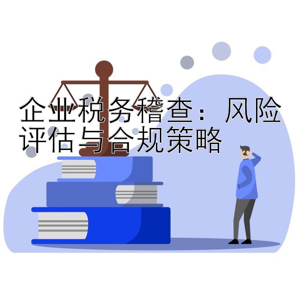 企业税务稽查：风险评估与合规策略