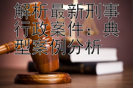 解析最新刑事行政案件：典型案例分析