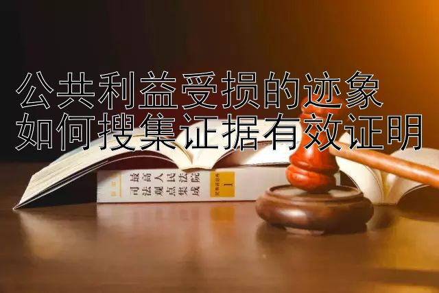 公共利益受损的迹象  
如何搜集证据有效证明