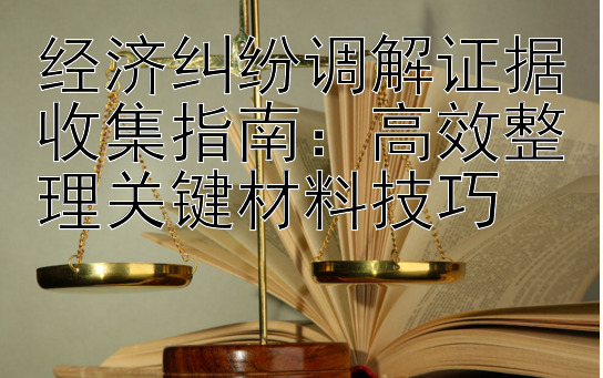 经济纠纷调解证据收集指南：高效整理关键材料技巧