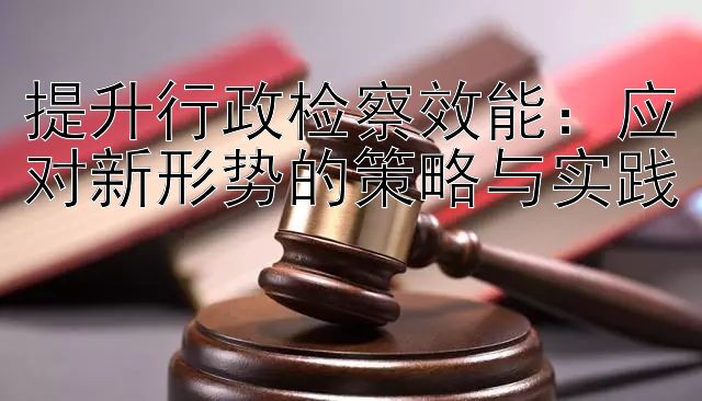 提升行政检察效能：应对新形势的策略与实践